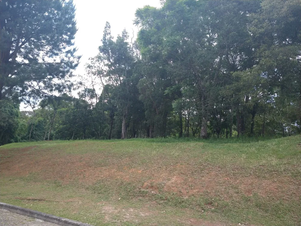 Terreno, 1500 m² - Foto 4