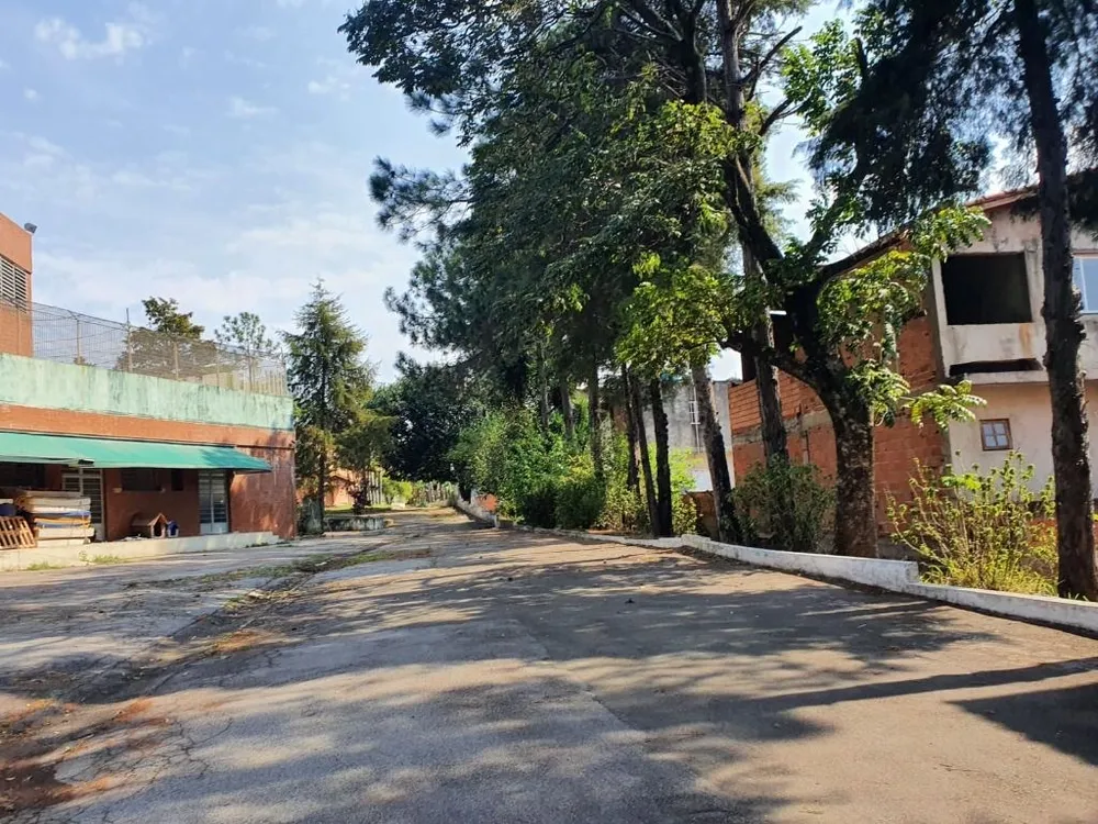 Terreno, 3 hectares - Foto 4