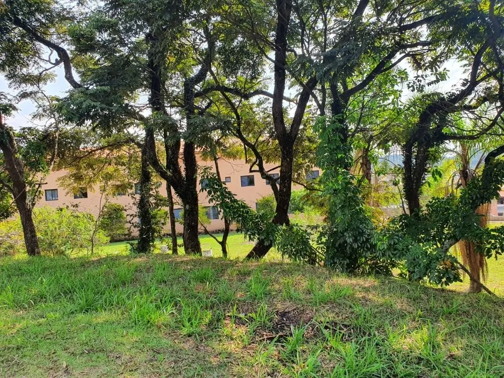 Terreno, 3 hectares - Foto 8