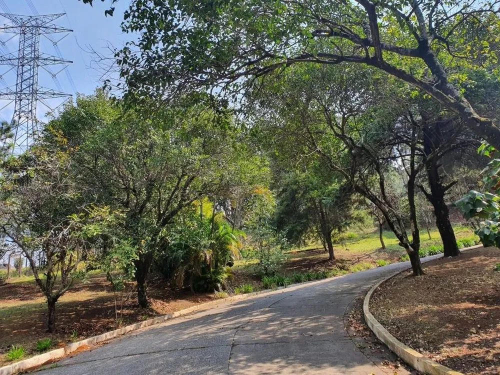 Terreno, 3 hectares - Foto 12