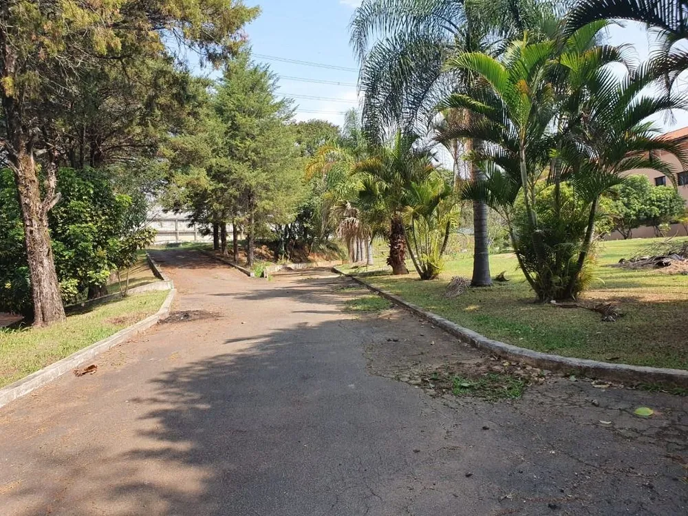 Terreno, 3 hectares - Foto 2