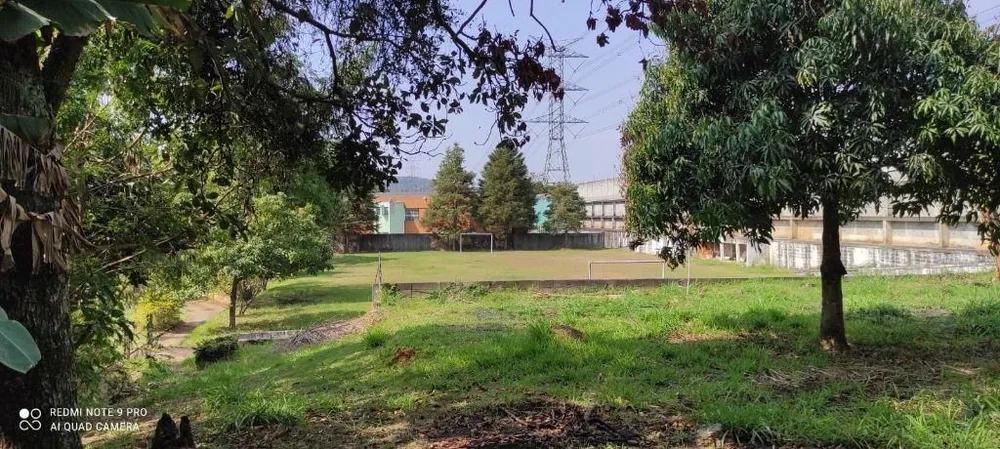 Terreno, 3 hectares - Foto 3