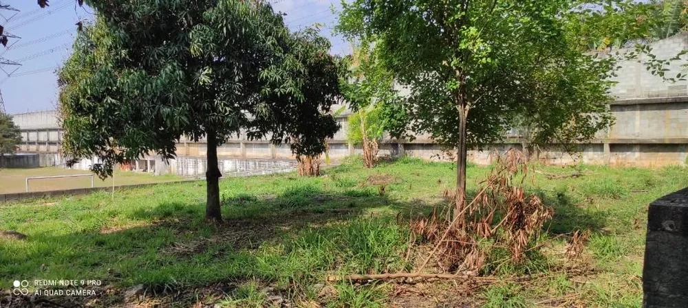 Terreno, 3 hectares - Foto 6