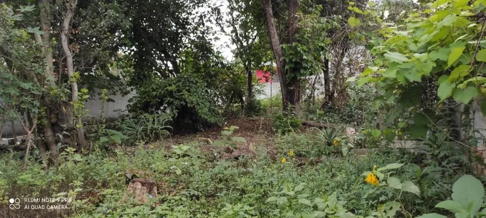 Terreno, 500 m² - Foto 3