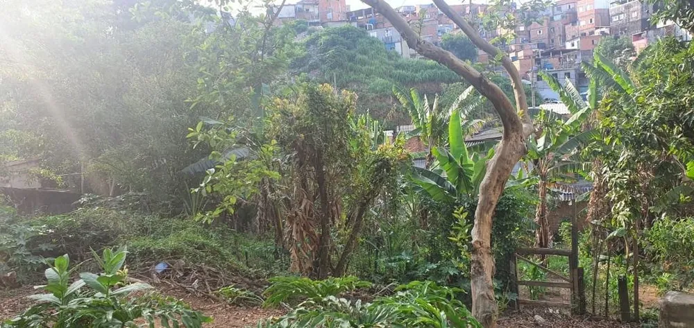Terreno, 2000 m² - Foto 6
