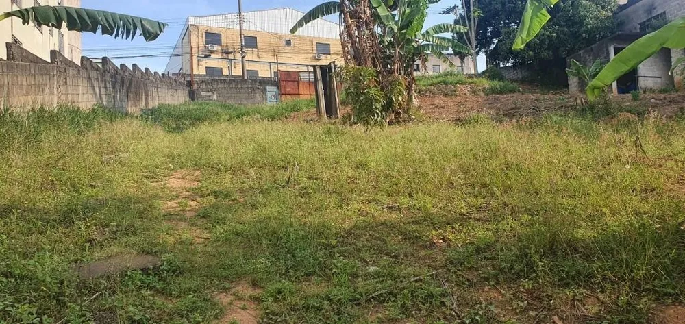 Terreno, 2000 m² - Foto 11