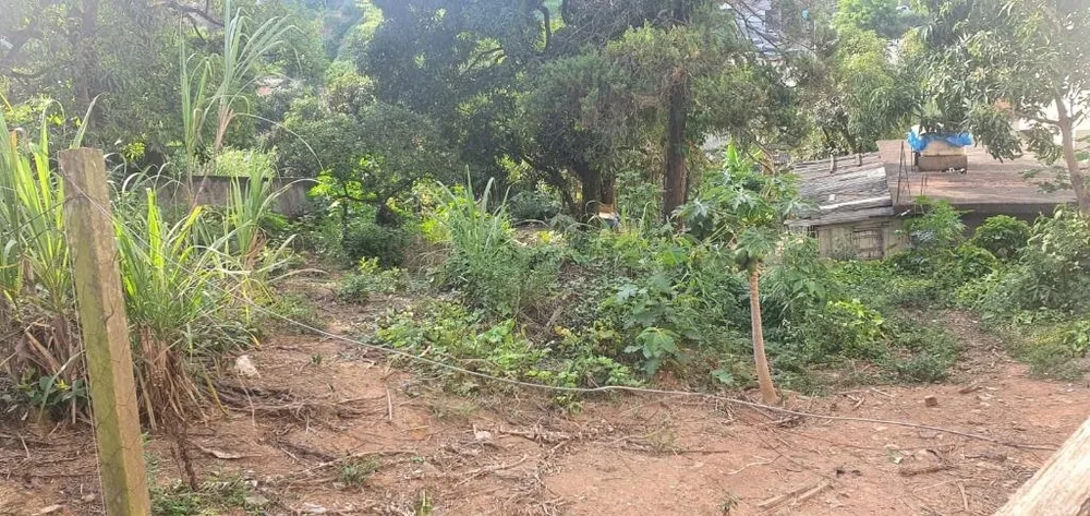 Terreno, 2000 m² - Foto 5