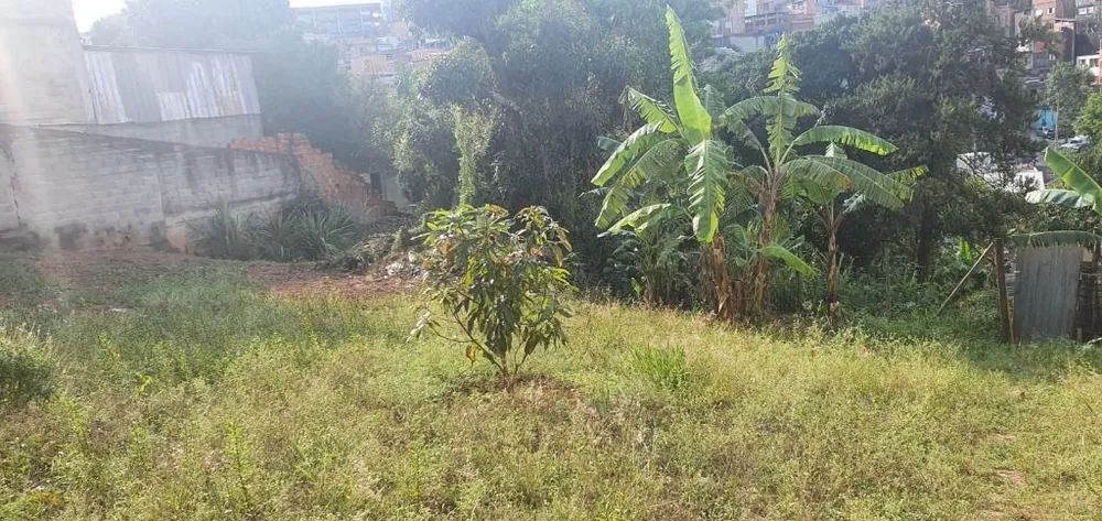 Terreno, 2000 m² - Foto 7