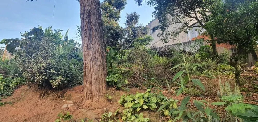 Terreno, 2000 m² - Foto 14