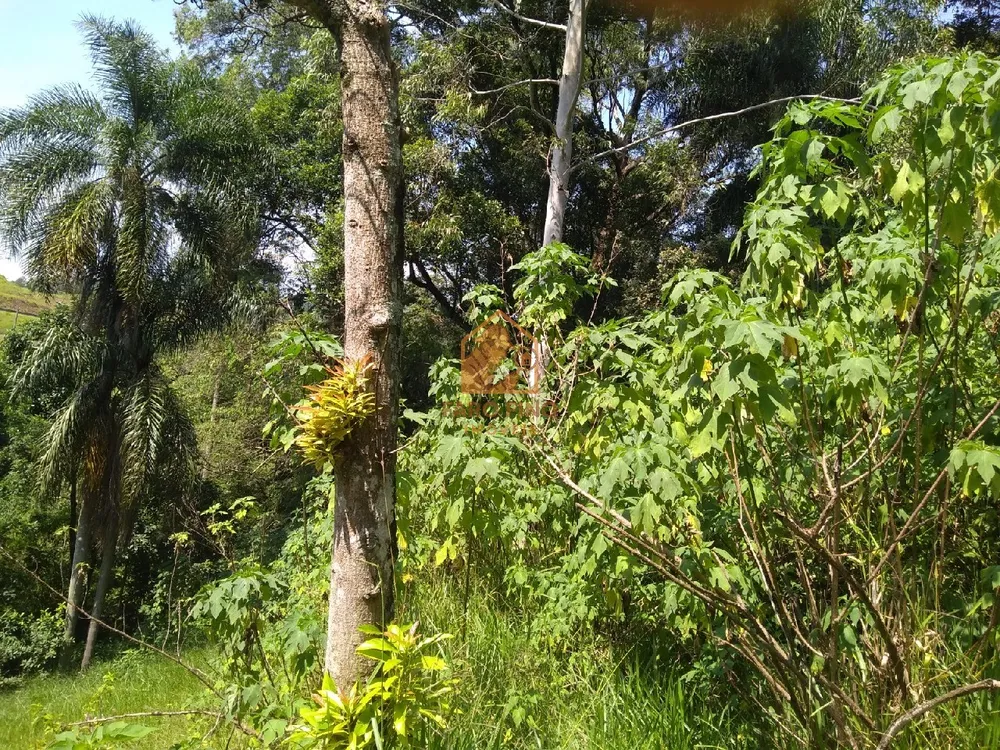 Terreno, 1 hectares - Foto 7
