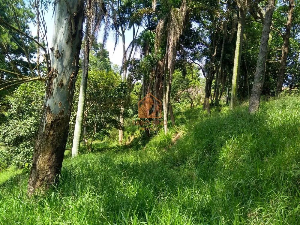Terreno, 1 hectares - Foto 3