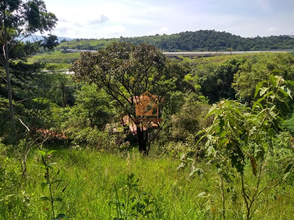 Terreno, 1 hectares - Foto 8