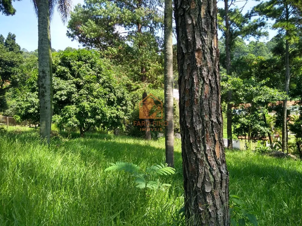 Terreno, 1 hectares - Foto 3