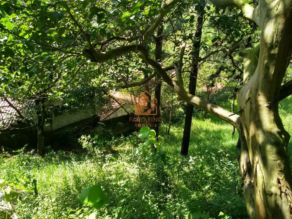 Terreno, 1 hectares - Foto 8