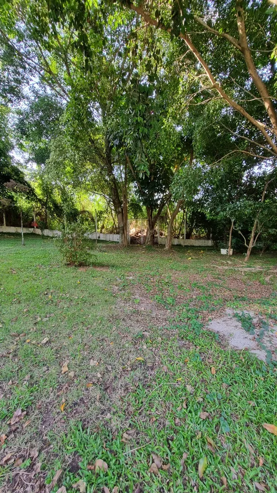 Casa, 4 quartos, 230 m² - Foto 7