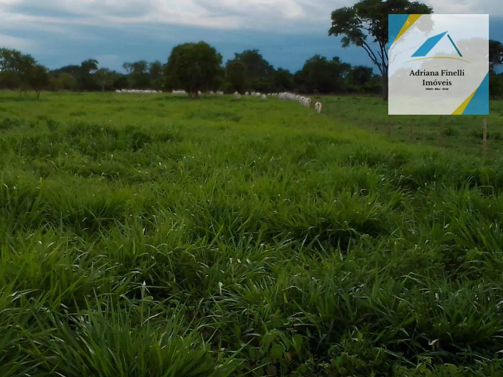 Fazenda, 138 hectares - Foto 2