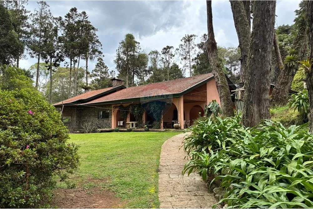 Chácara, 6 quartos, 7 hectares - Foto 3