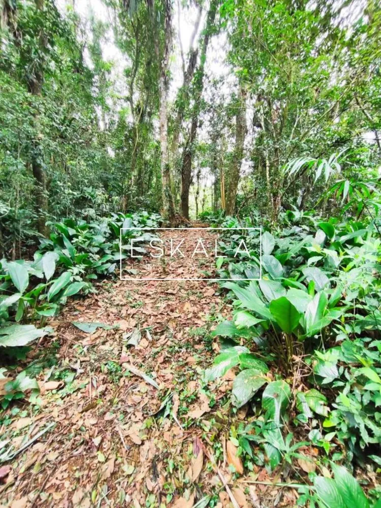 Chácara, 2 quartos, 20 hectares - Foto 7
