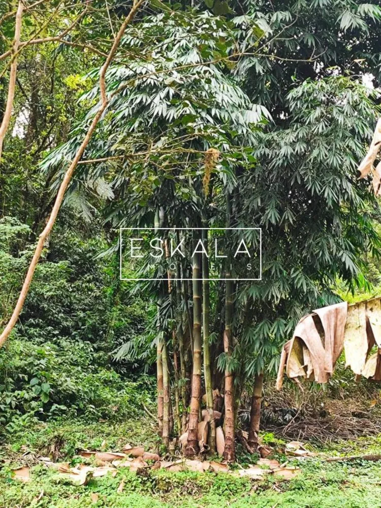 Chácara, 2 quartos, 20 hectares - Foto 4