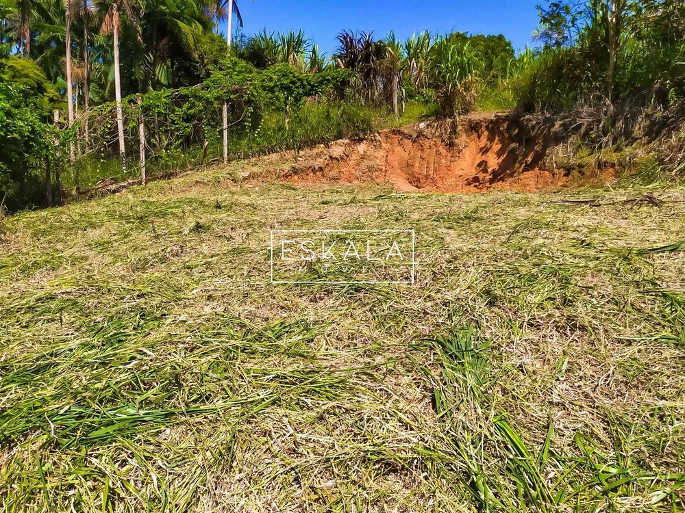 Terreno, 377 m² - Foto 3