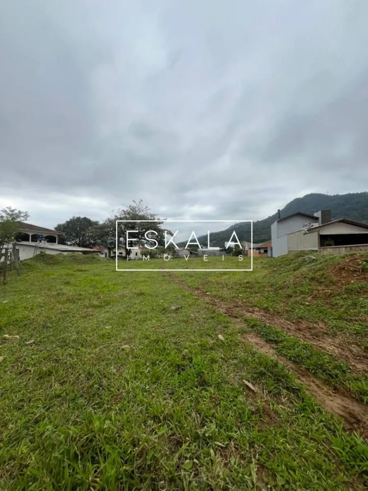 Terreno, 2571 m² - Foto 3