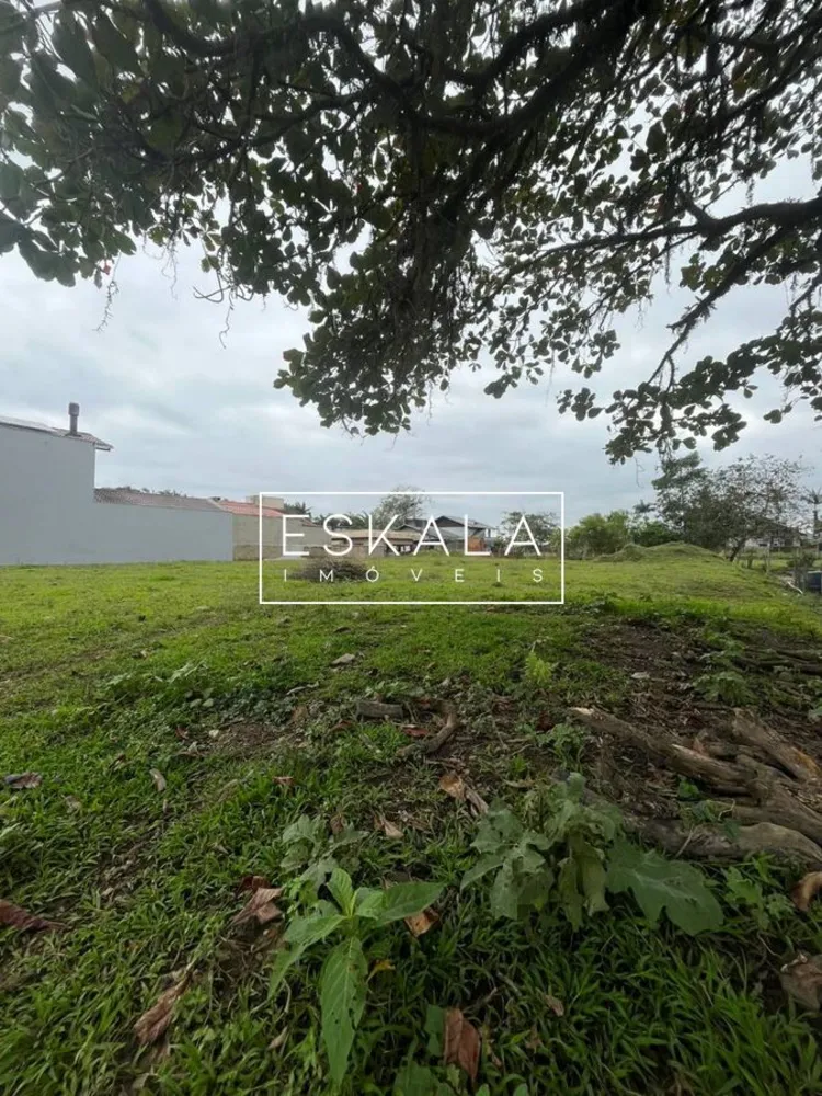 Terreno, 2571 m² - Foto 5