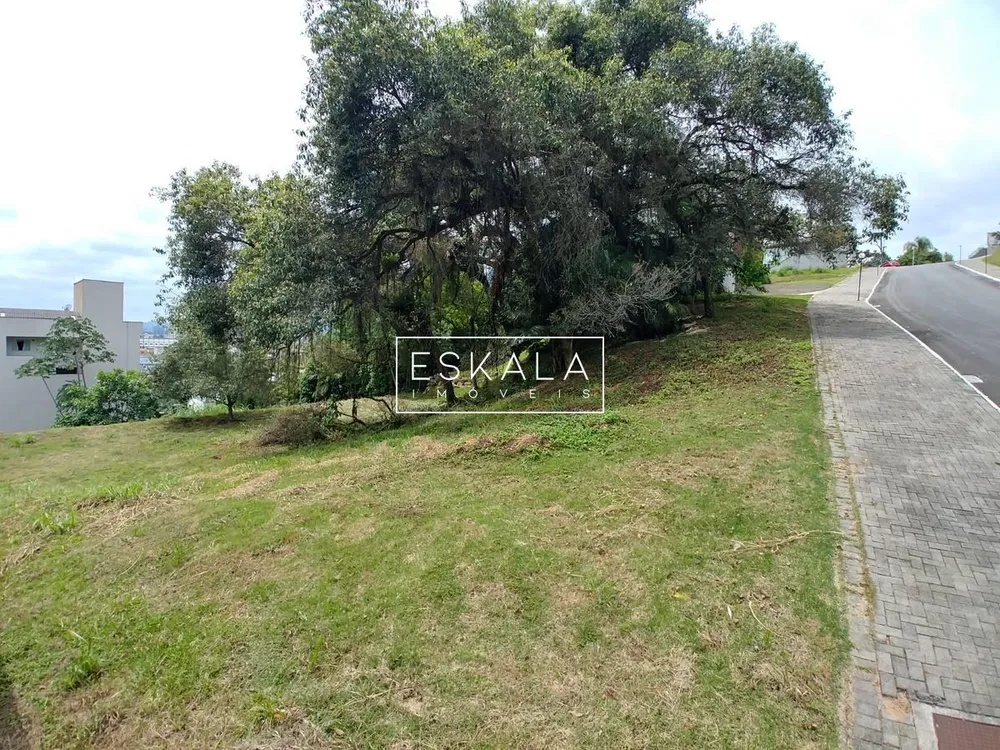 Terreno, 2295 m² - Foto 4