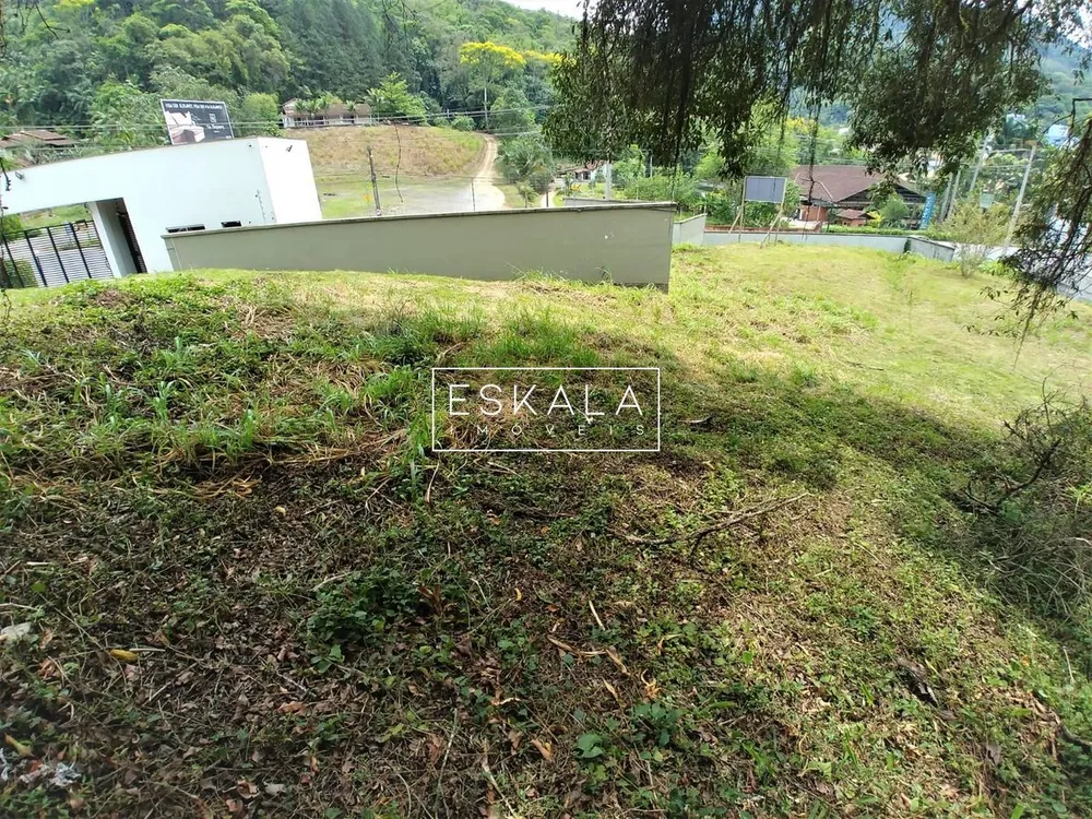 Terreno, 2295 m² - Foto 3