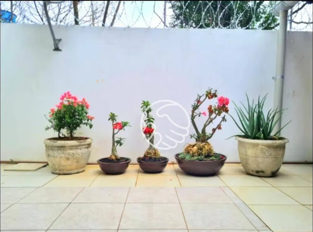 Casa, 4 quartos, 300 m² - Foto 12
