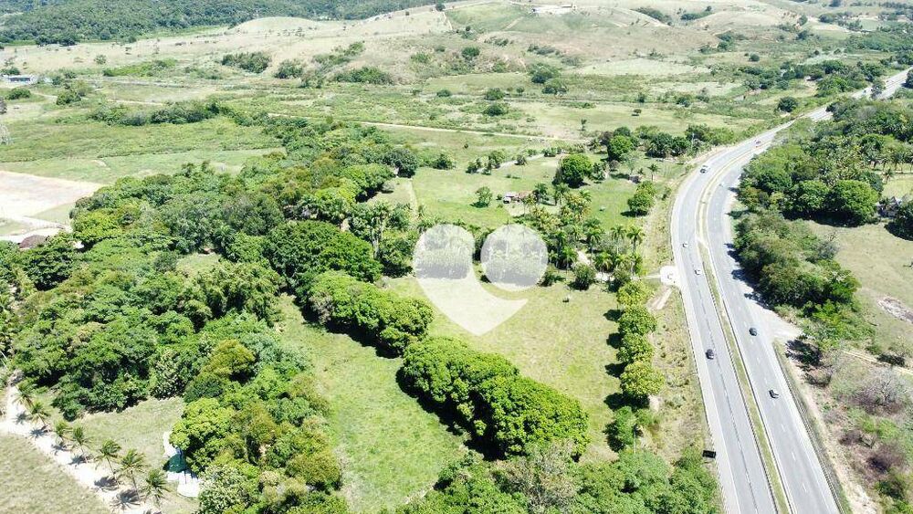 Sítio, 5 hectares - Foto 4