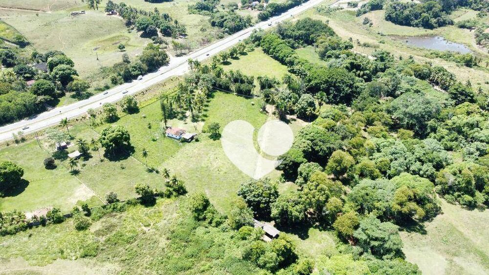 Sítio, 5 hectares - Foto 3