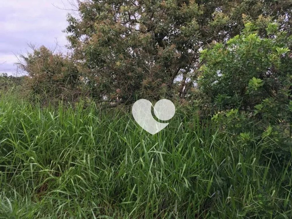 Loteamento e Condomínio à venda, 3200M2 - Foto 1