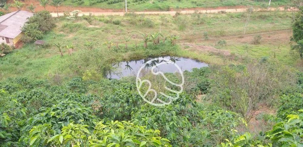 Terreno, 11 hectares - Foto 13