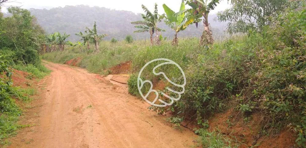 Terreno, 11 hectares - Foto 7