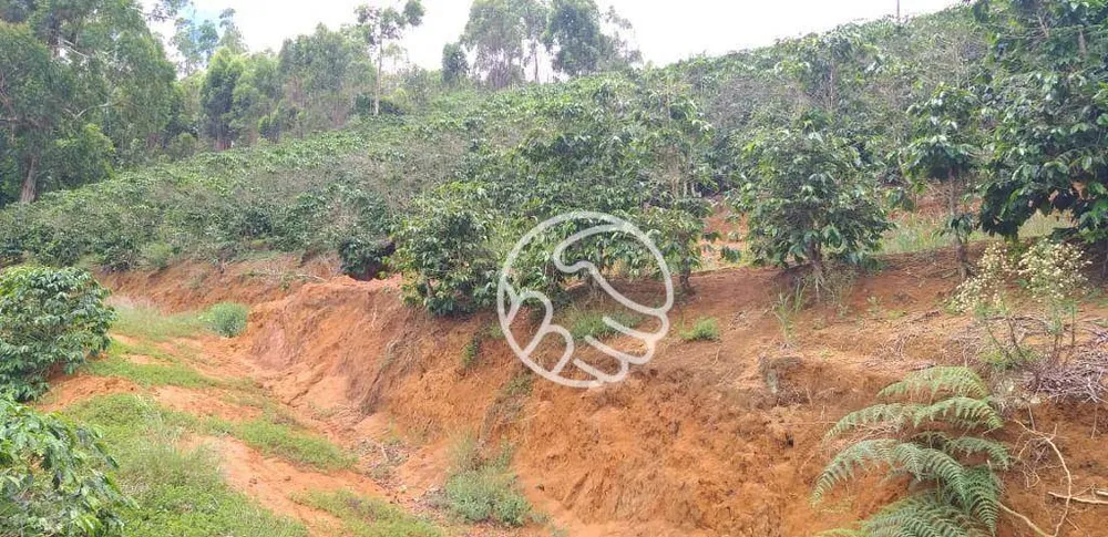 Terreno, 11 hectares - Foto 9