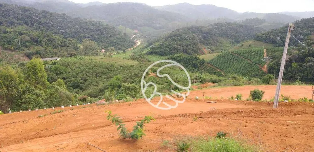 Terreno, 11 hectares - Foto 3