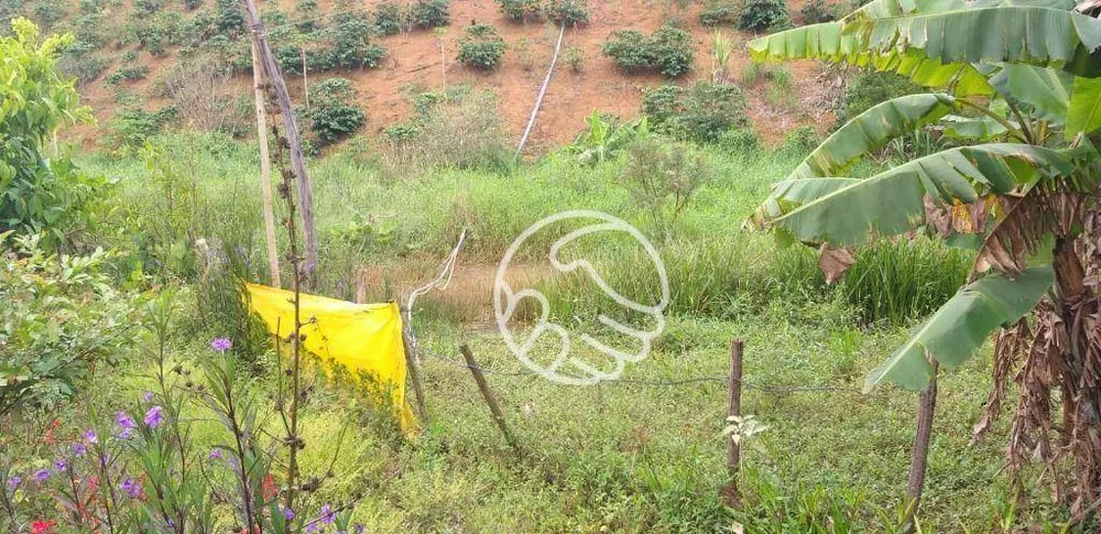 Terreno, 11 hectares - Foto 1