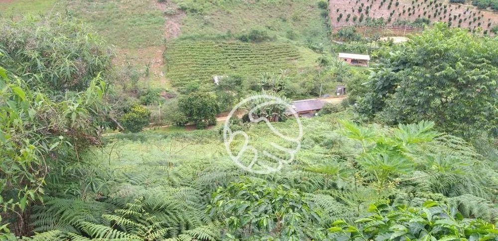 Terreno, 11 hectares - Foto 10