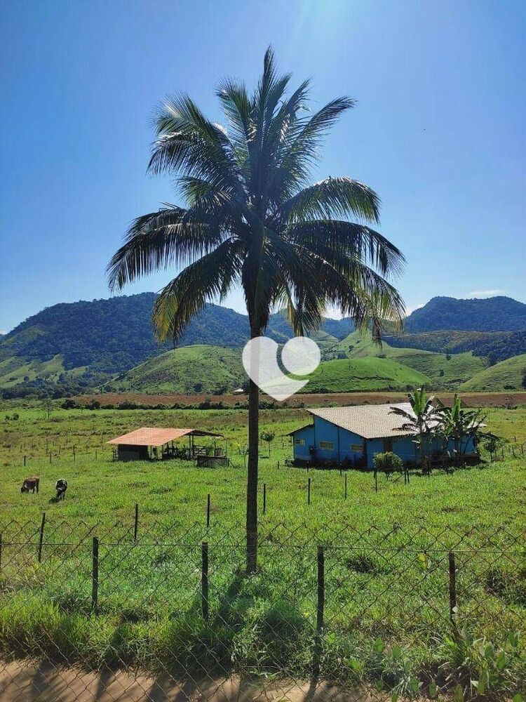 Sítio, 2 quartos, 8300 m² - Foto 2