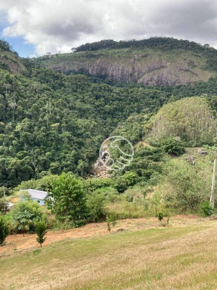 Chácara, 3 quartos, 6000 m² - Foto 4