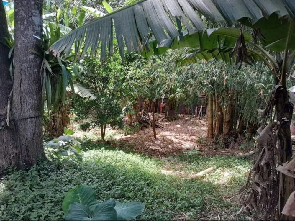 Chácara, 2 quartos, 1200 m² - Foto 1