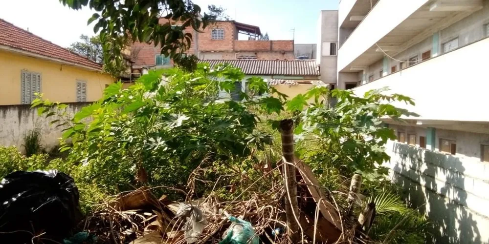 Terreno, 300 m² - Foto 6