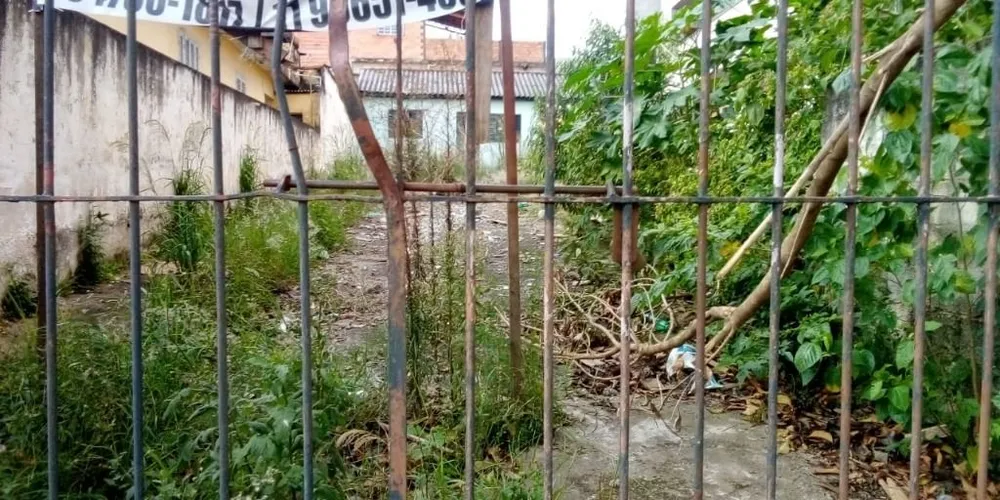 Terreno, 300 m² - Foto 2