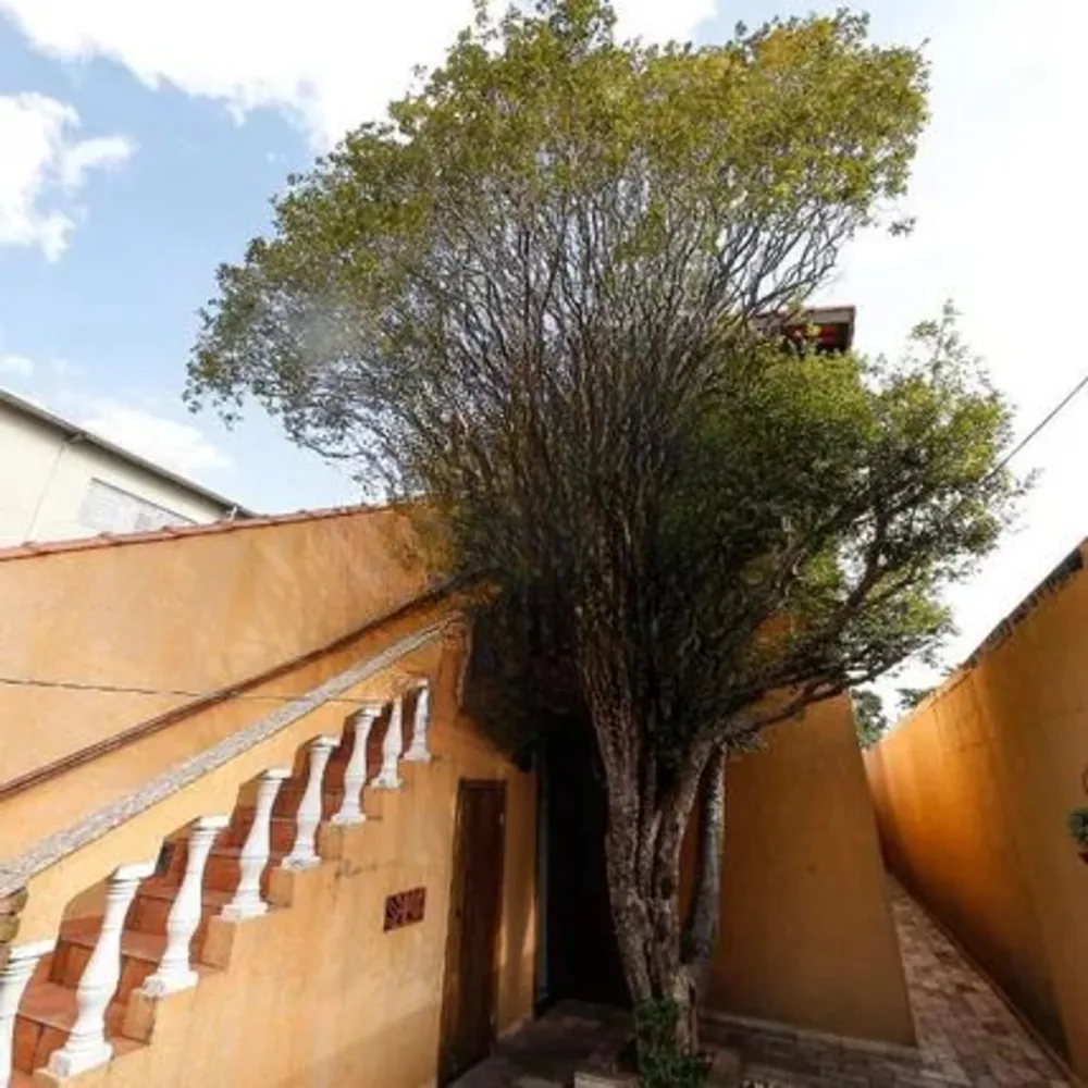 Casa, 4 quartos, 250 m² - Foto 3