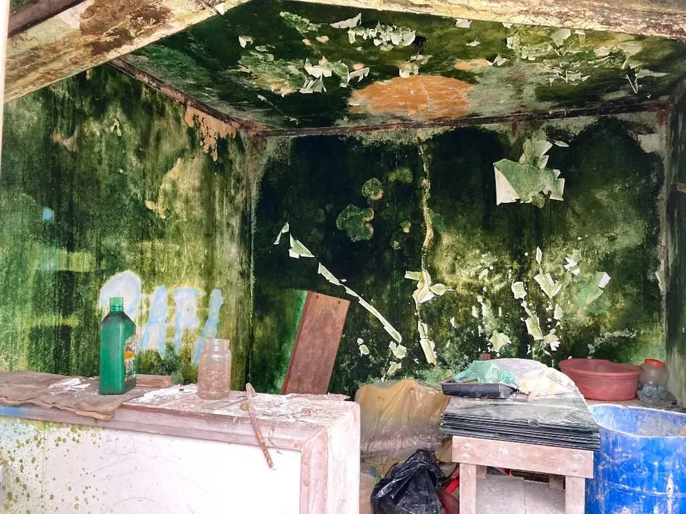 Terreno, 260 m² - Foto 1
