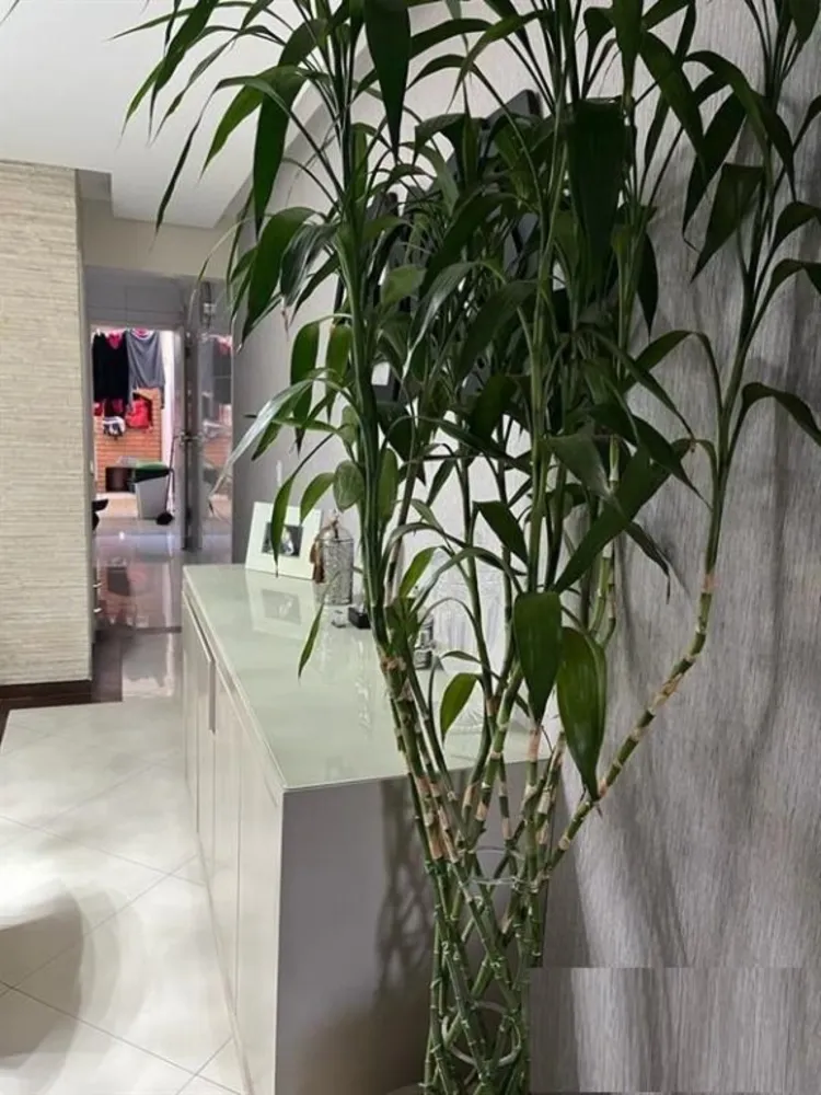 Sobrado, 3 quartos, 240 m² - Foto 2