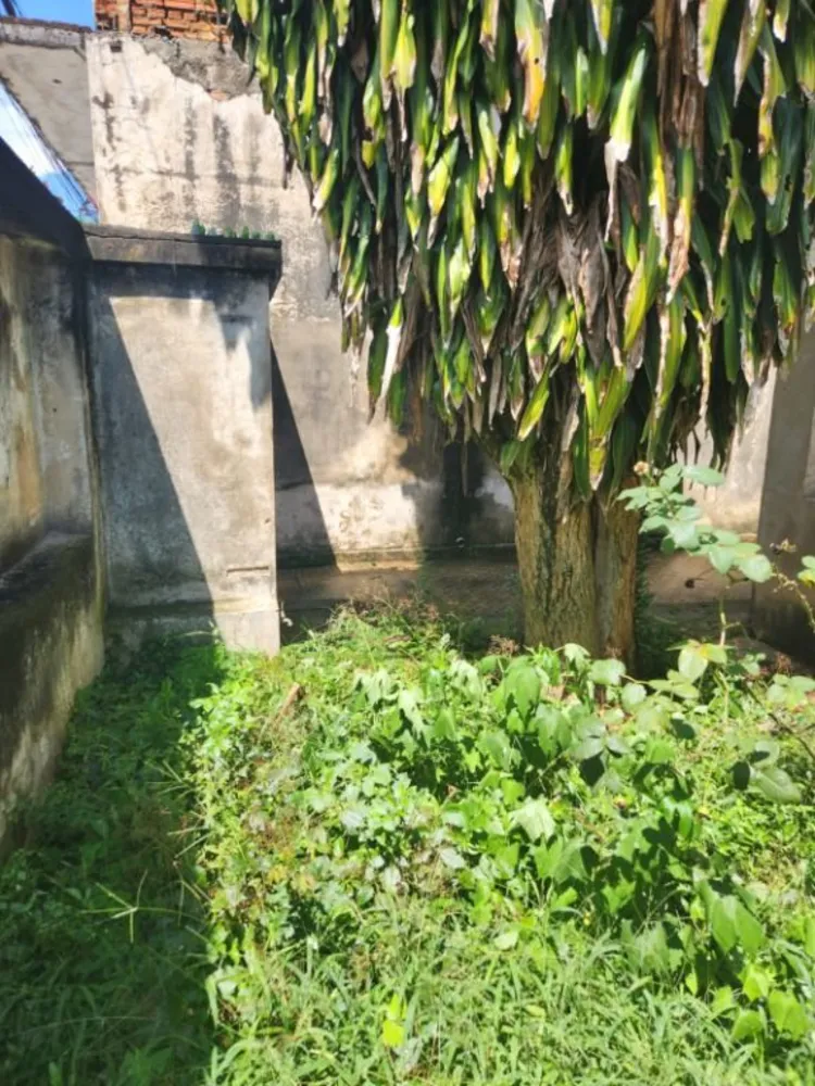 Terreno, 300 m² - Foto 3