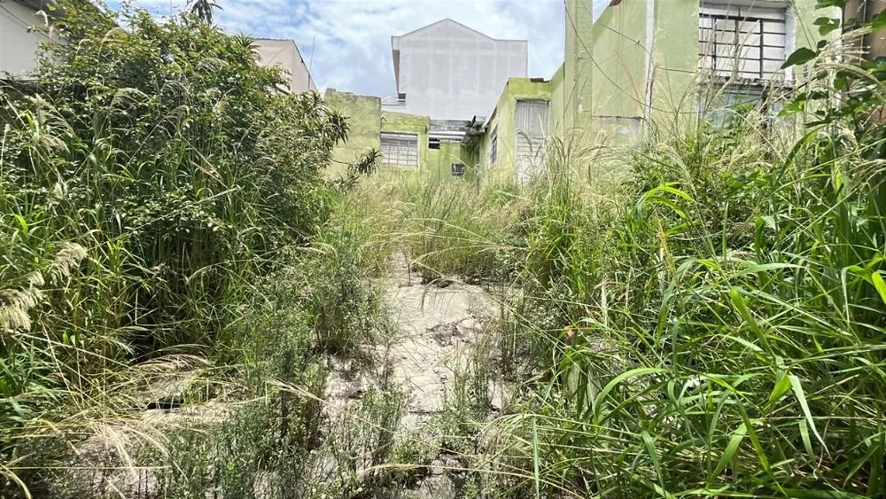 Terreno, 250 m² - Foto 1