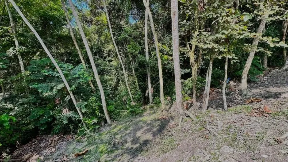 Sobrado, 4 quartos, 250 m² - Foto 3