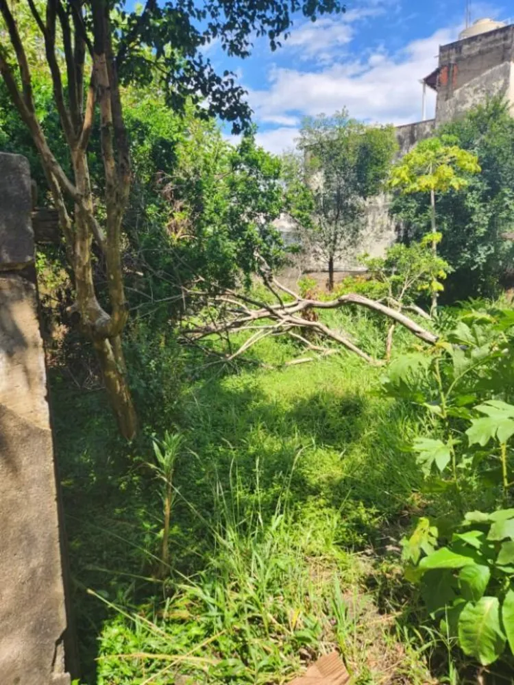 Terreno, 300 m² - Foto 3
